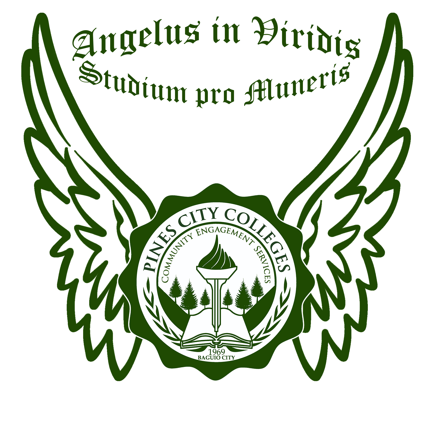 PCC Project ANGELS Logo